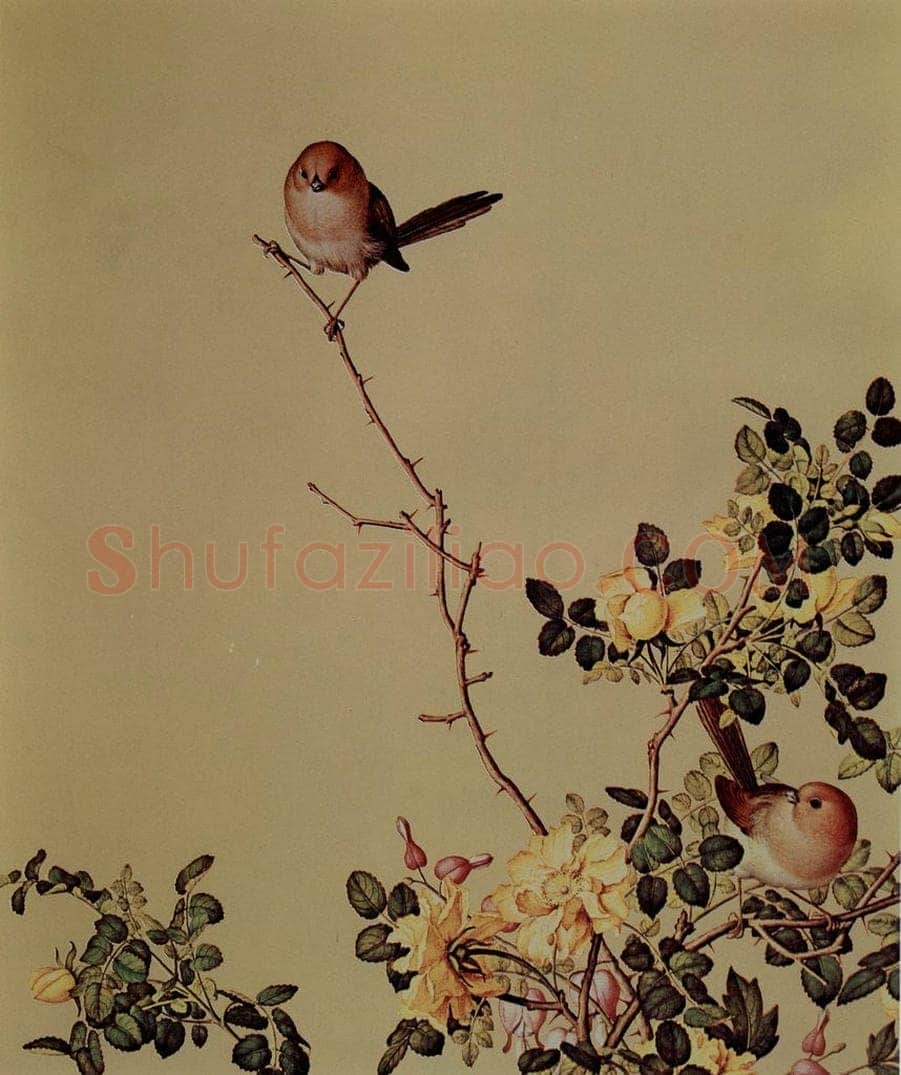 清 朗世宁 《仙萼长春图——黄刺縻鱼牡丹》 书画作品