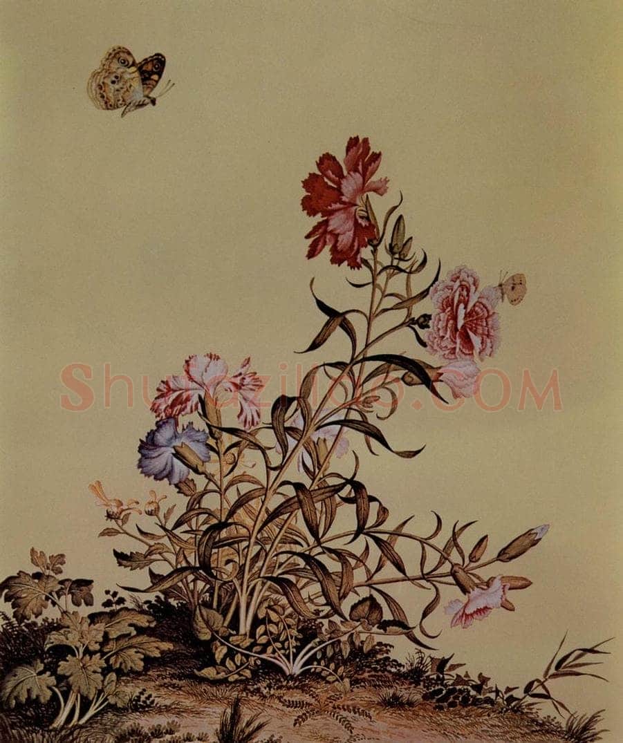 清 朗世宁 《仙萼长春图——石竹》 书画作品