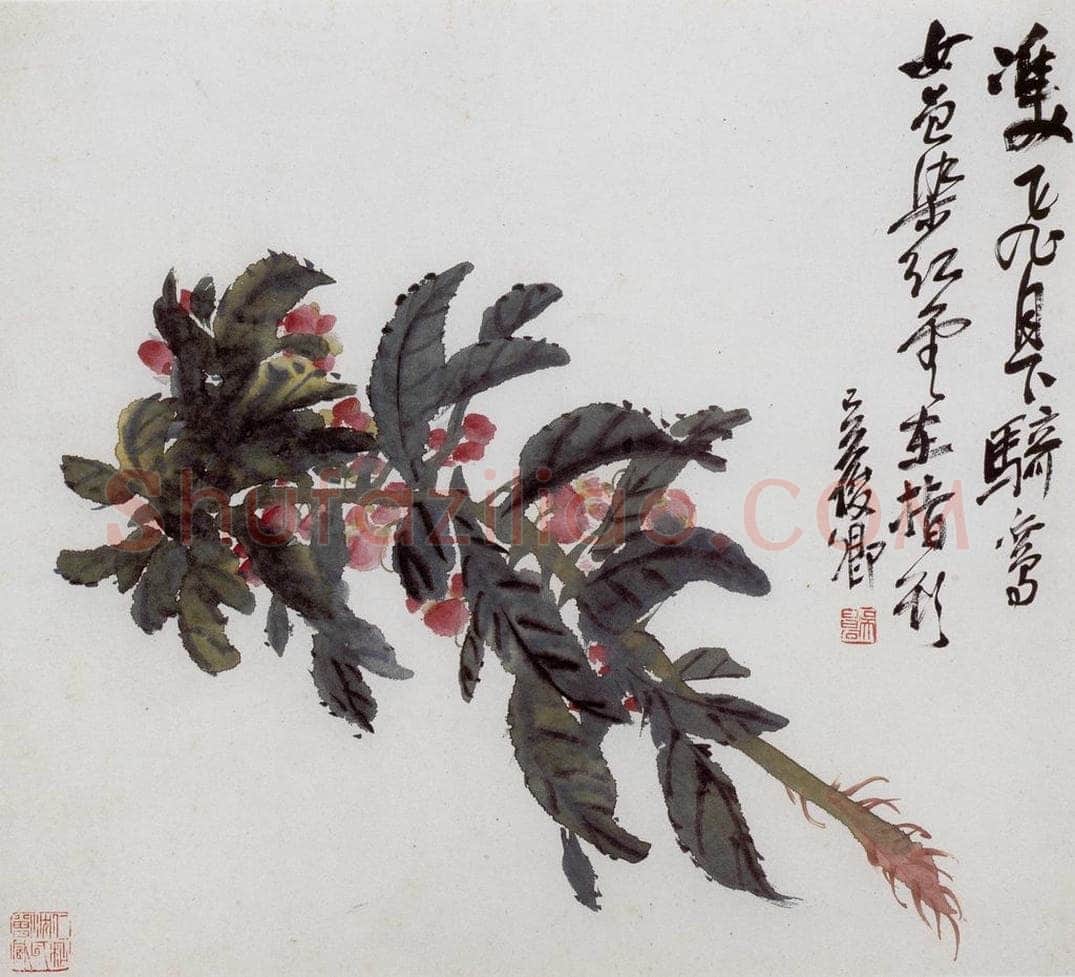 清 吴昌硕 《花卉册》 书画作品