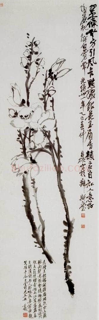 清 吴昌硕 《玉兰》 书画作品