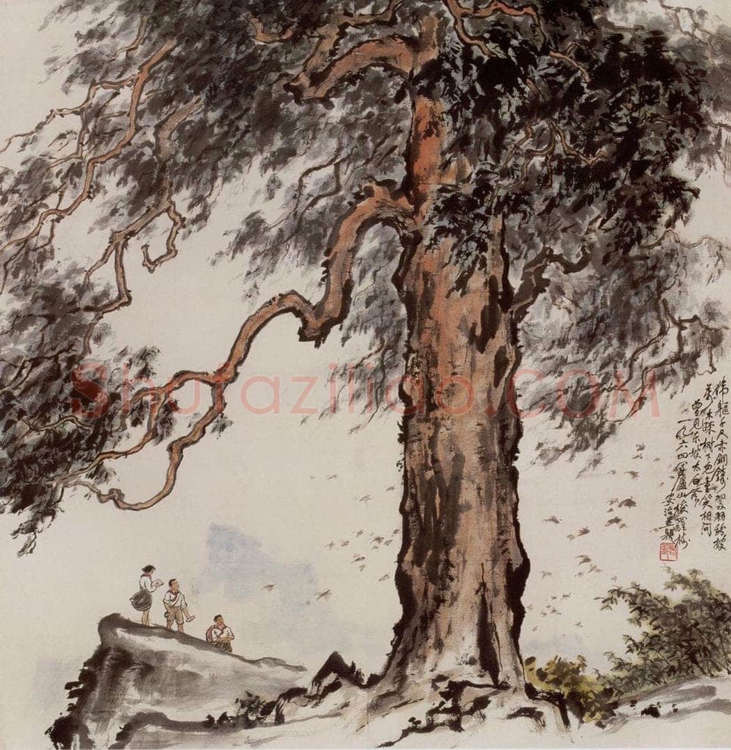 1964年 张安治 庐山梭罗树 书画作品