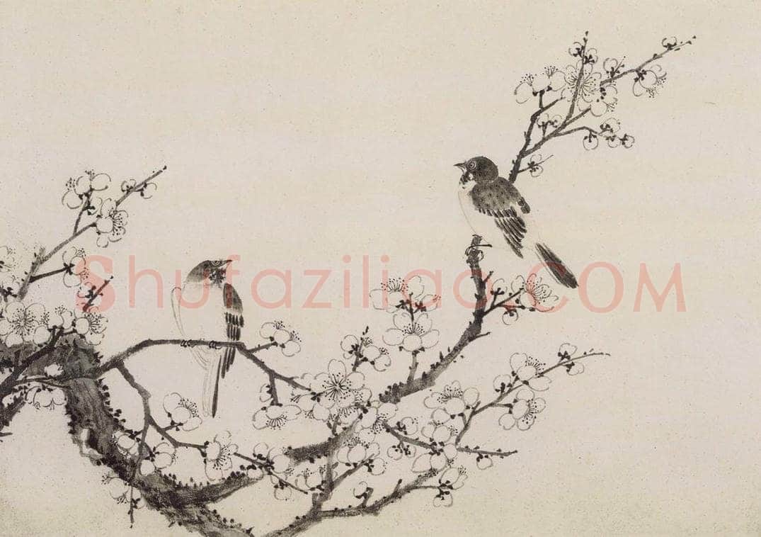 清 蒋廷锡 《蒋廷锡花鸟图册》 书画作品