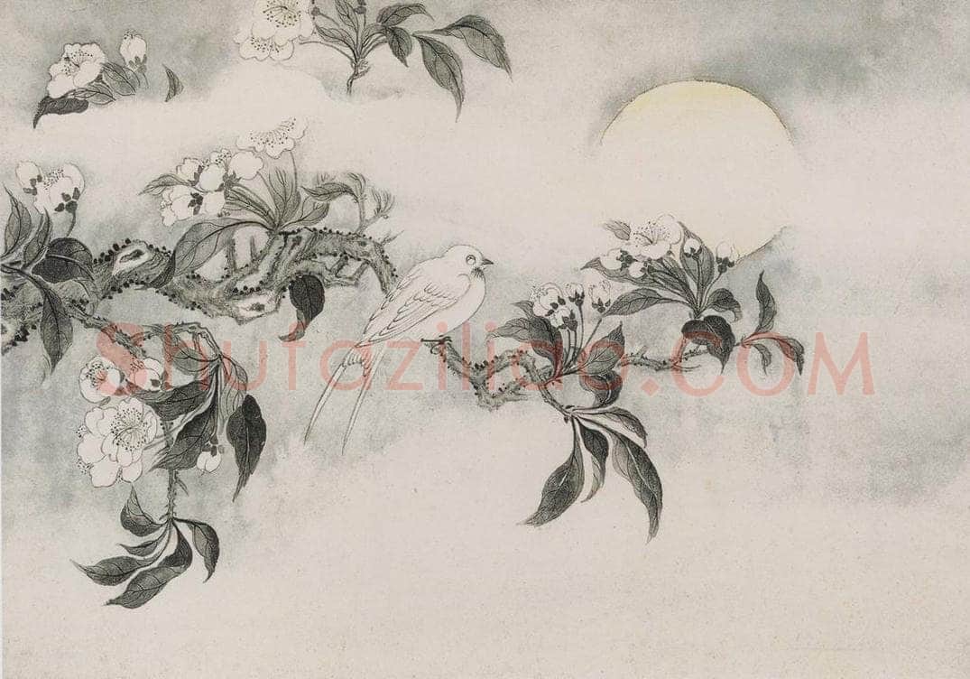 清 蒋廷锡 《蒋廷锡花鸟图册》 书画作品