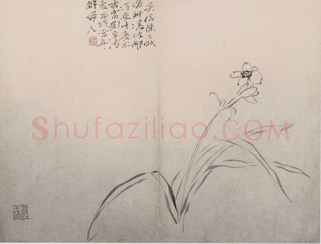 清 陈撰 《陈撰花卉图册》 书画作品