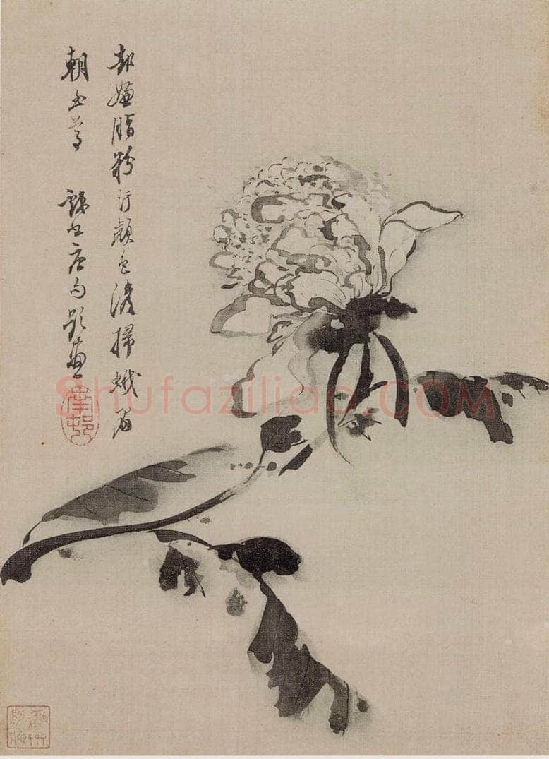 清 高凤翰 《高凤翰花卉图册》 书画作品
