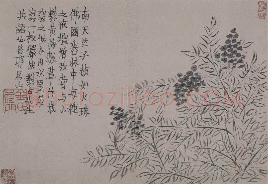 清 金农 《金农杂画图册》 书画作品