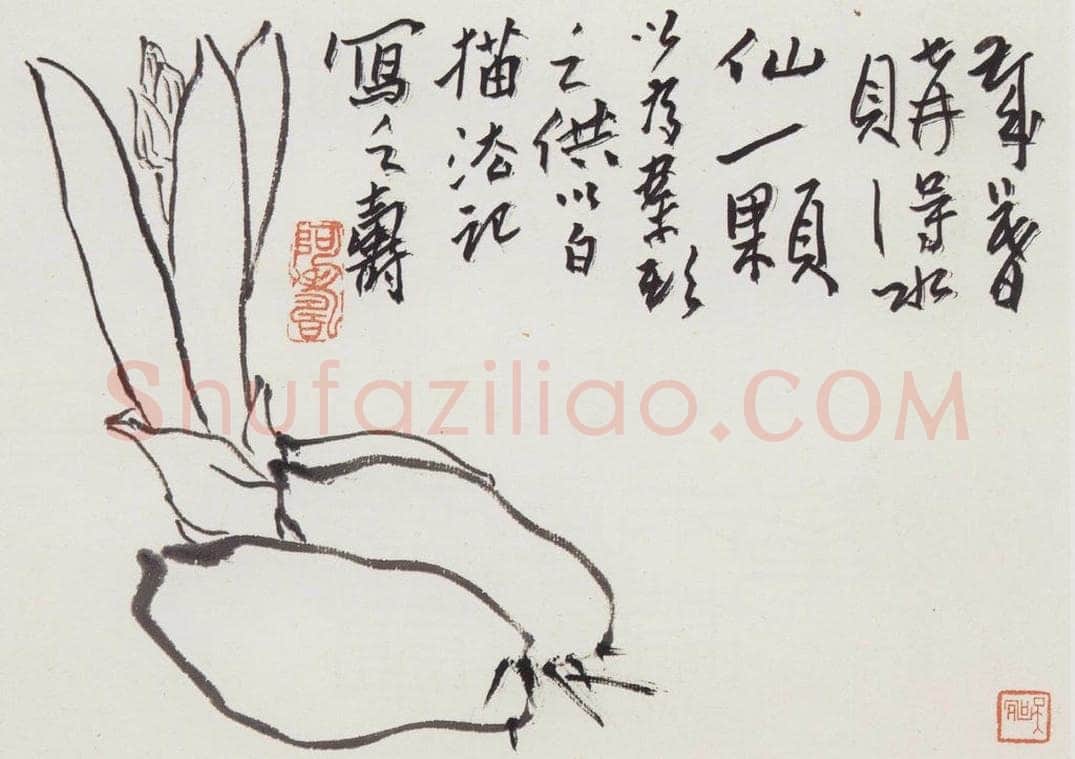 1950年代 潘天寿 《白描水仙》 书画作品