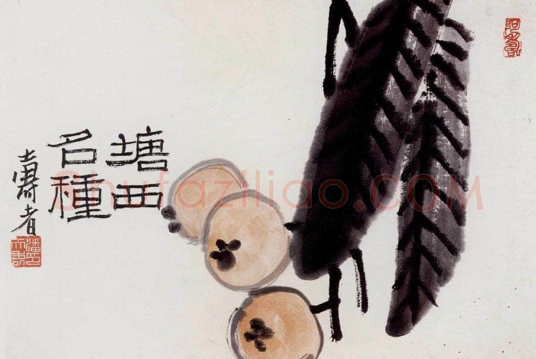 1960年 潘天寿 《塘西名种》 书画作品