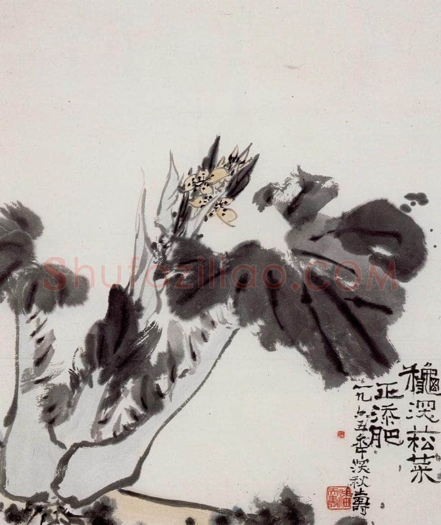 1965年 潘天寿 《菘菜图轴》 书画作品
