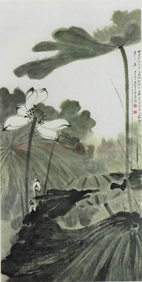 张大千 《秋荷》 书画作品