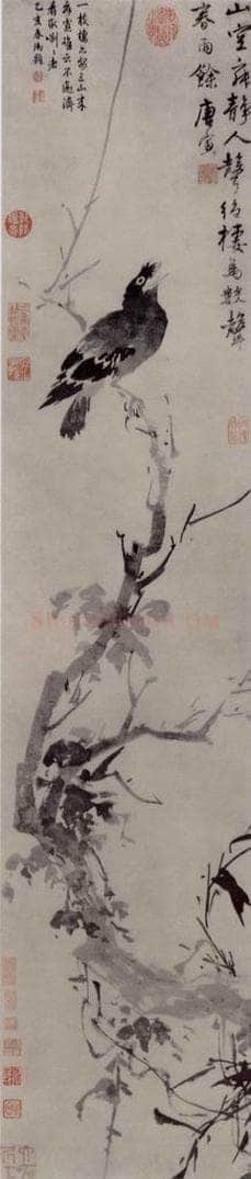 明 唐寅 枯槎鸜谷鵒图轴 书画作品