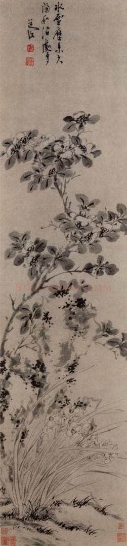 明 陈淳 山茶水仙图轴 书画作品