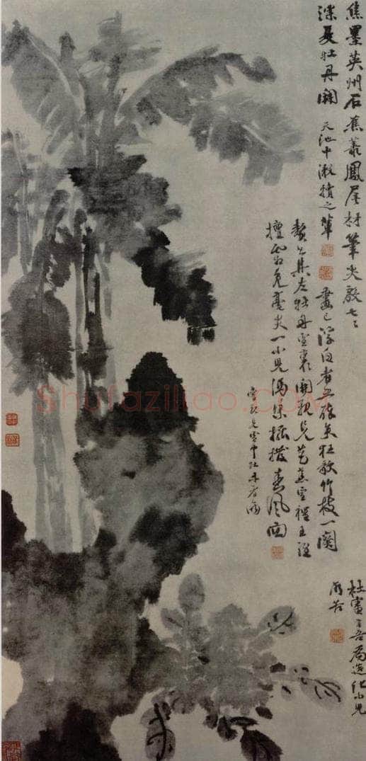 明 徐渭 牡丹蕉石图轴 书画作品