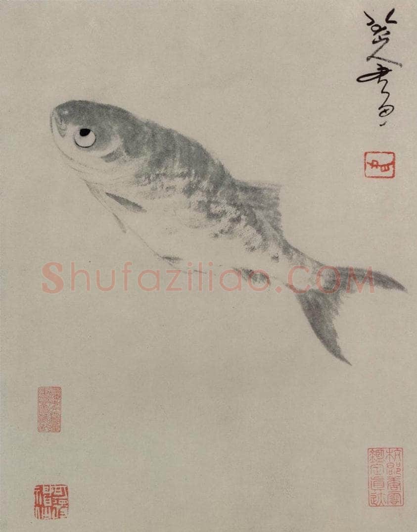 清 朱耷 鱼图册 书画作品