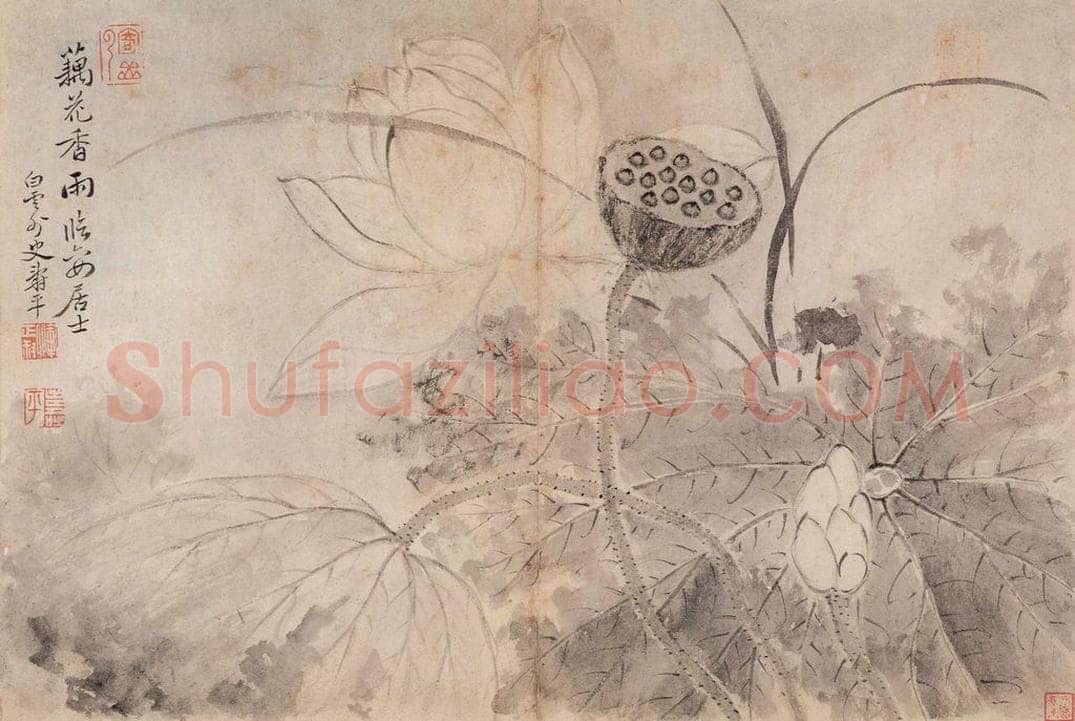 清 恽寿平 《写生墨妙》 书画作品
