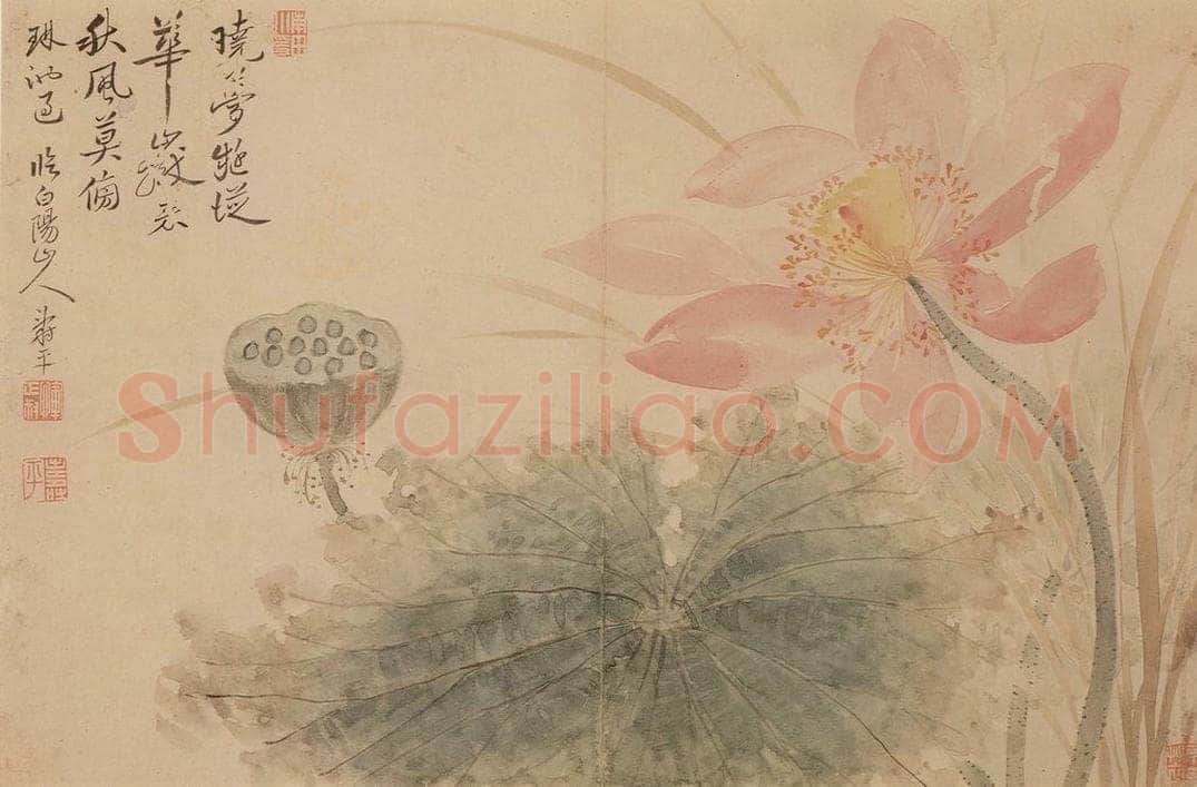 清 恽寿平 《花卉》 书画作品