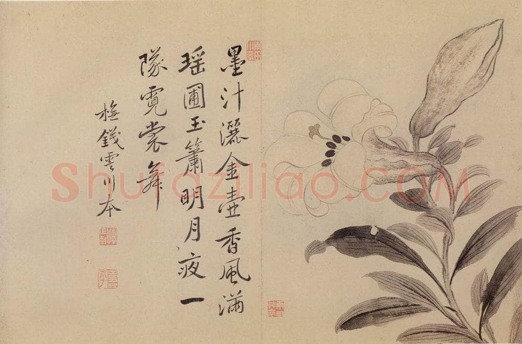 清 恽寿平 《花卉》 书画作品