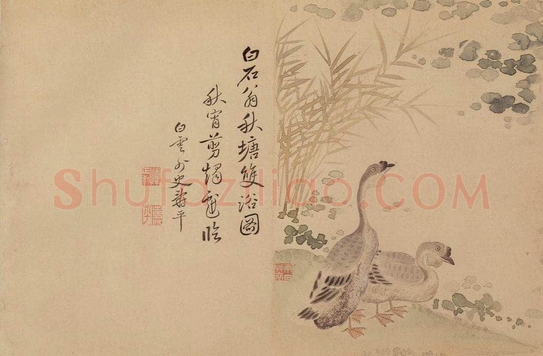 清 恽寿平 《花卉》 书画作品