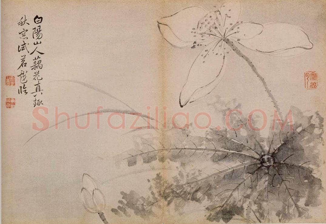 清 恽寿平 《墨花》 书画作品