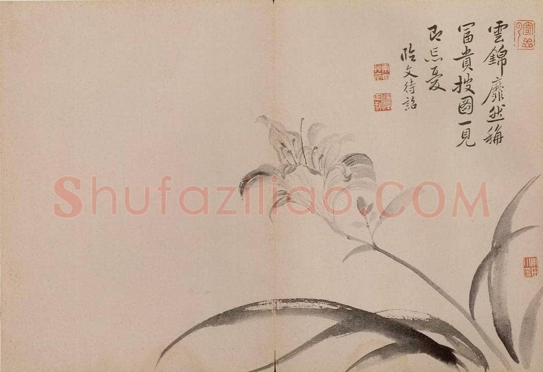 清 恽寿平 《墨花》 书画作品