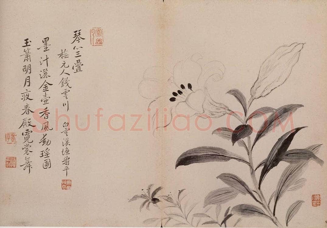 清 恽寿平 《墨花》 书画作品