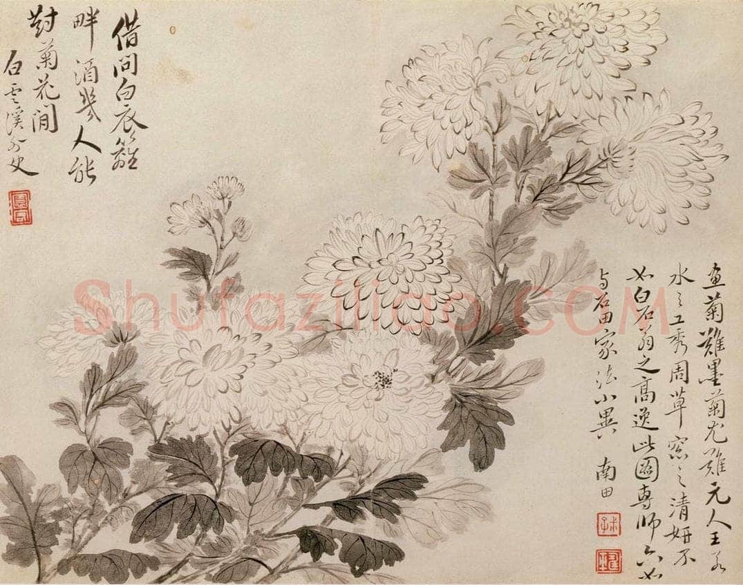 清 恽寿平 《写生花卉》 书画作品