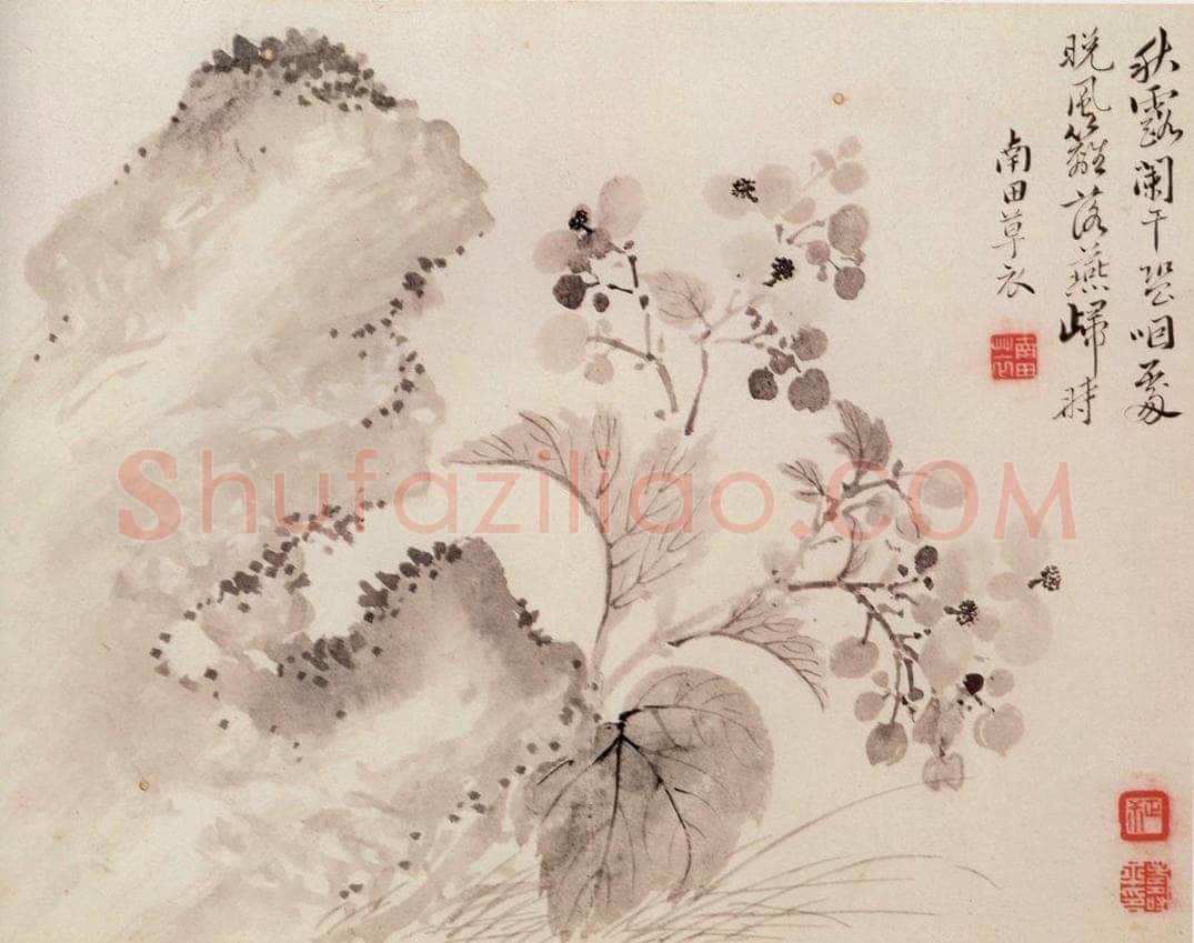 清 恽寿平 《写生花卉》 书画作品