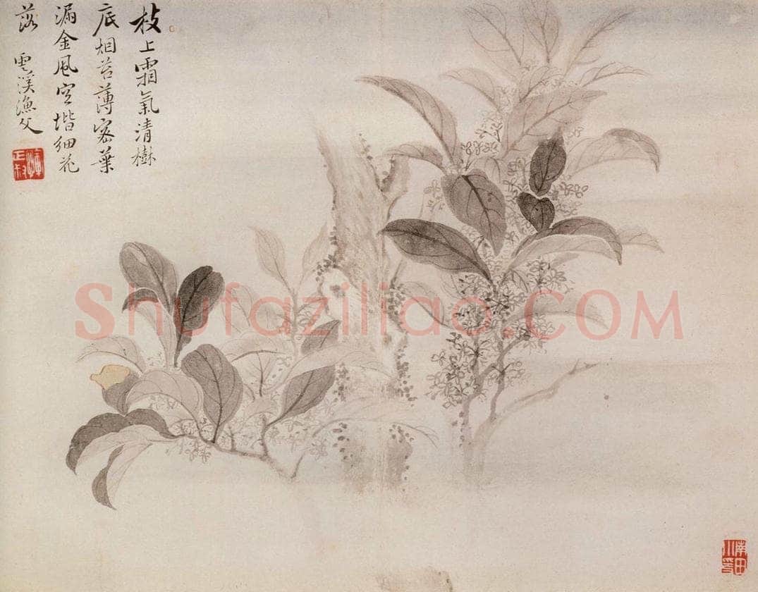 清 恽寿平 《写生花卉》 书画作品