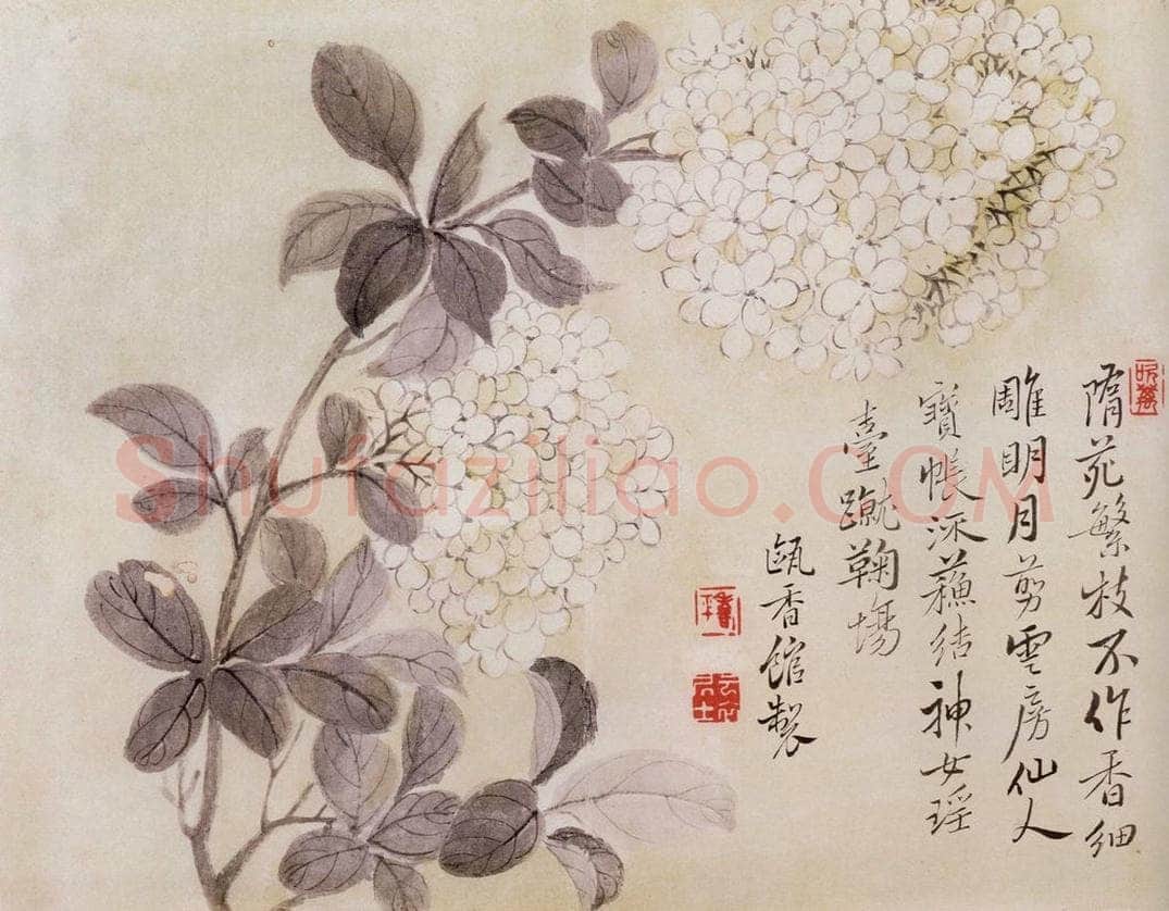 清 恽寿平 《写生花卉》 书画作品