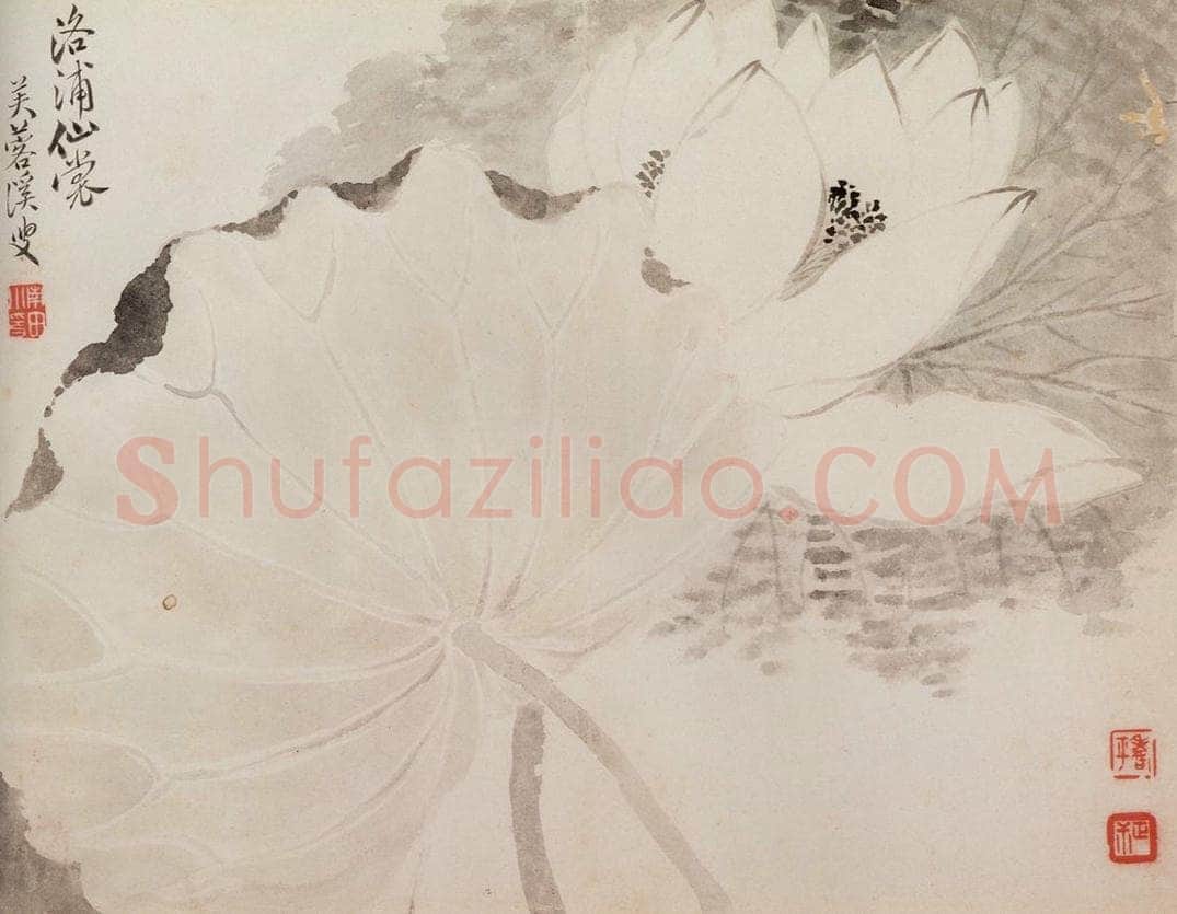 清 恽寿平 《写生花卉》 书画作品