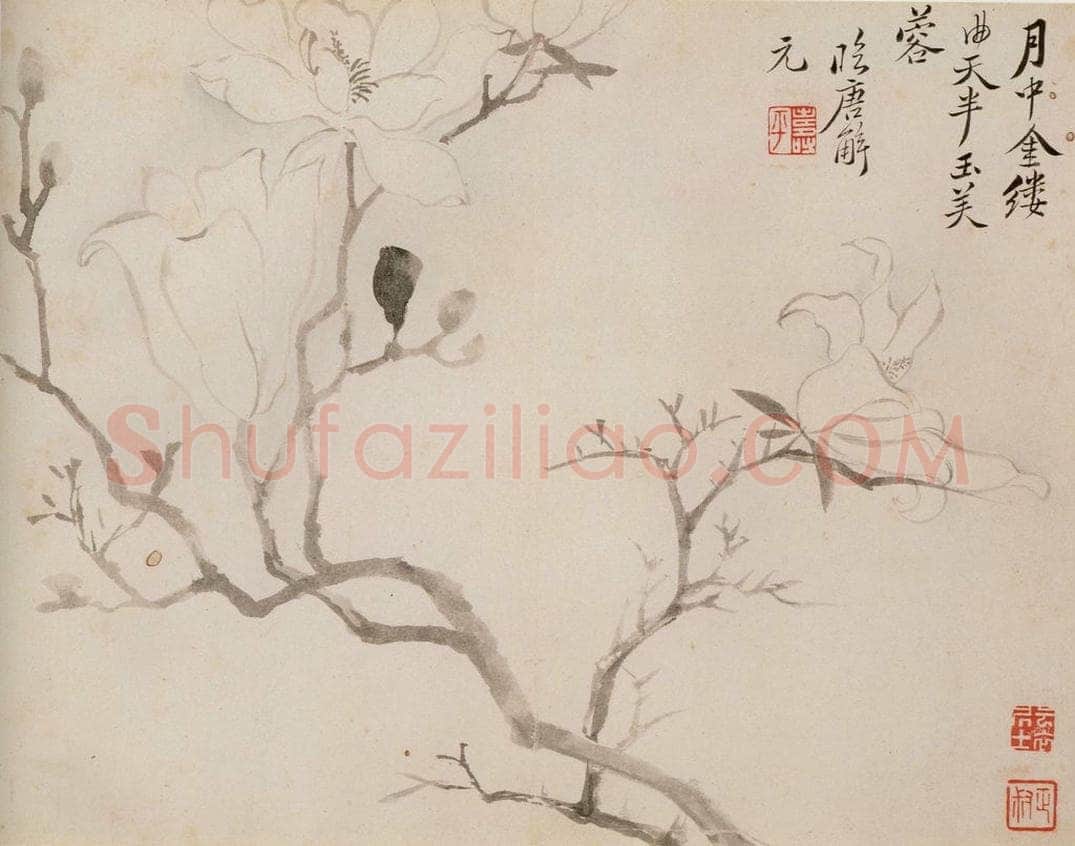 清 恽寿平 《写生花卉》 书画作品