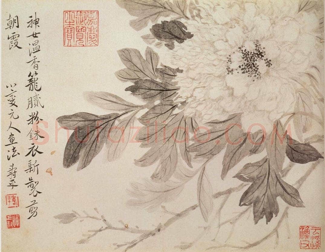 清 恽寿平 《写生花卉》 书画作品