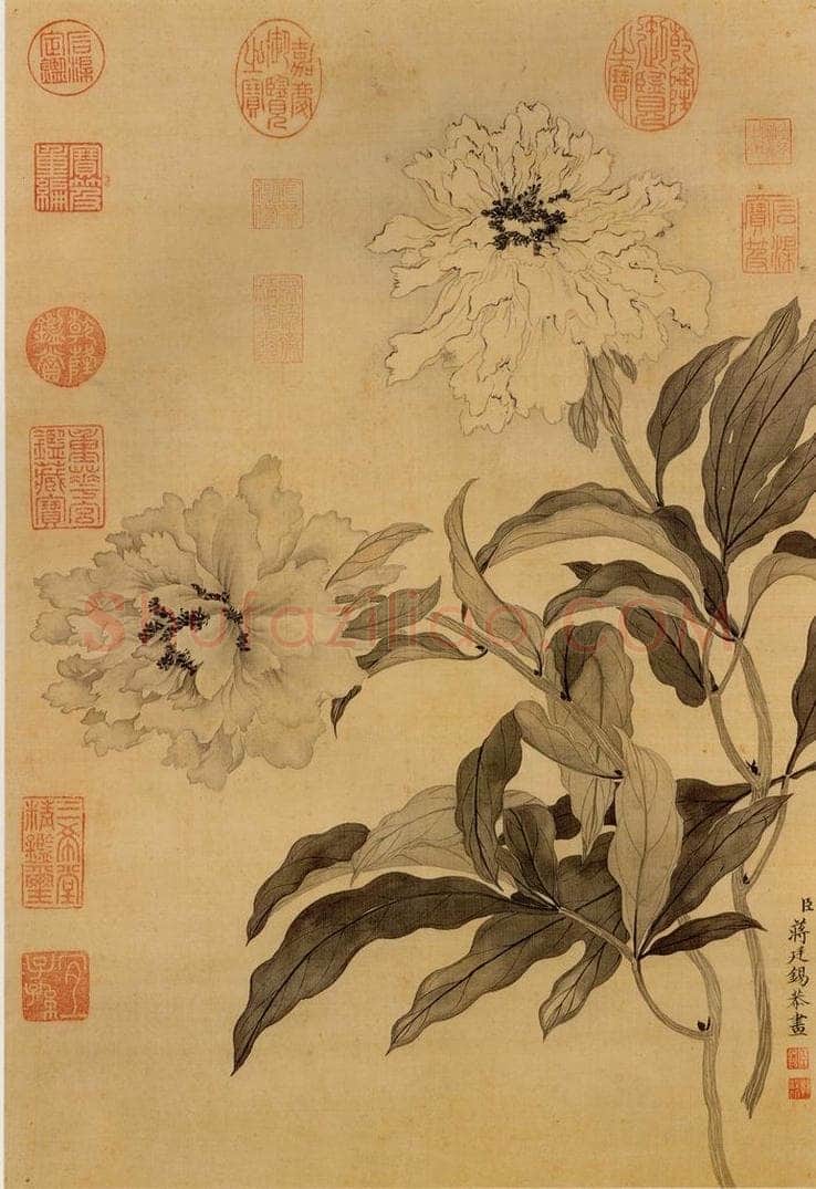 清 蒋廷锡 《墨牡丹》 书画作品