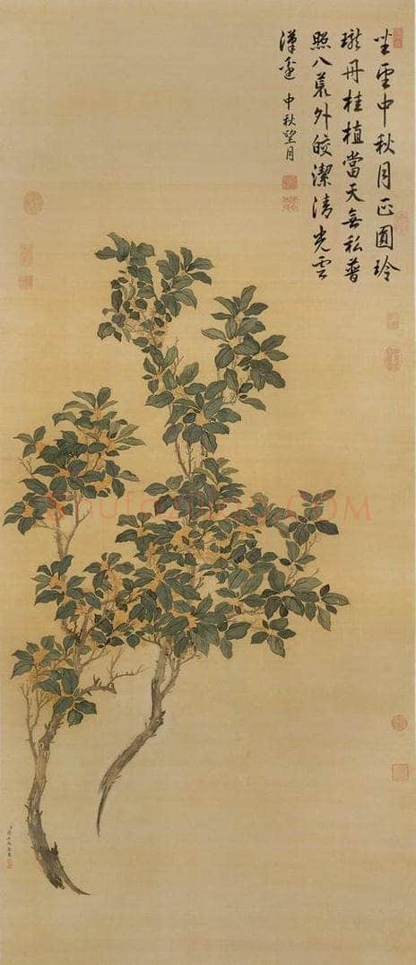 清 蒋廷锡 《桂花》 书画作品