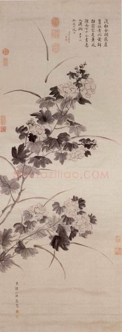 清 邹一桂 《画芙蓉》 书画作品