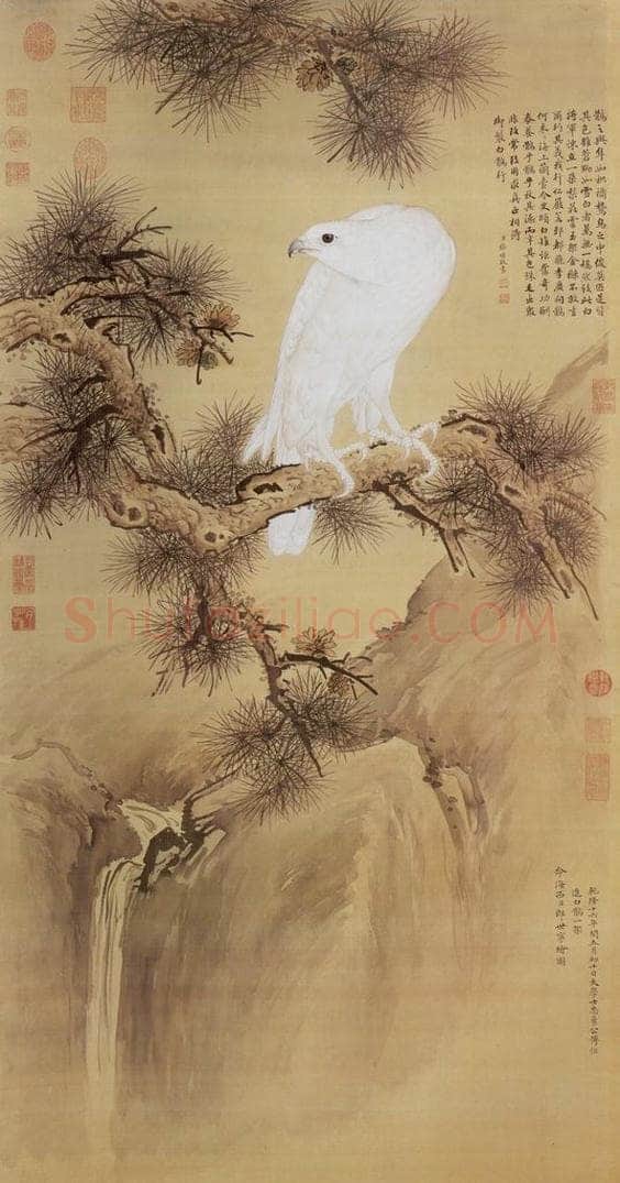 清 郎世宁 《白鹘图》 书画作品