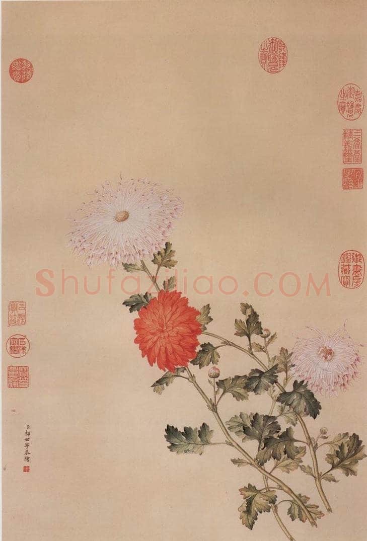 清 郎世宁 《画洋菊》 书画作品