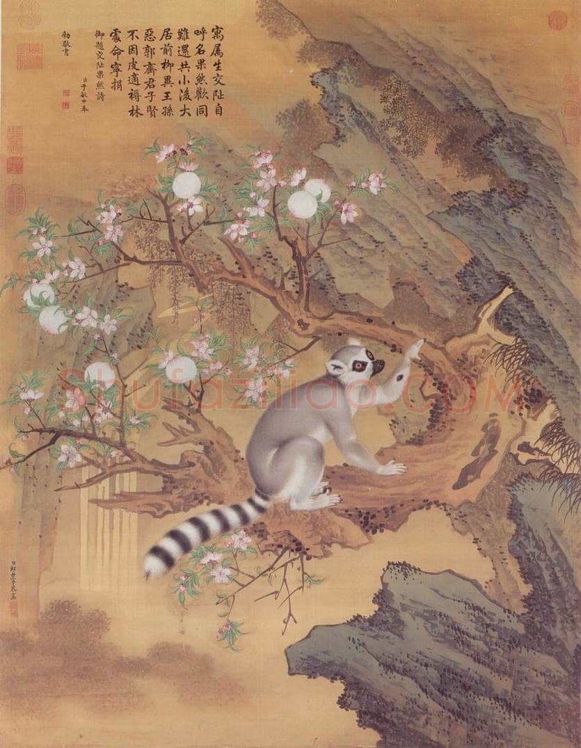 清 郎世宁 《画交趾果然》 书画作品