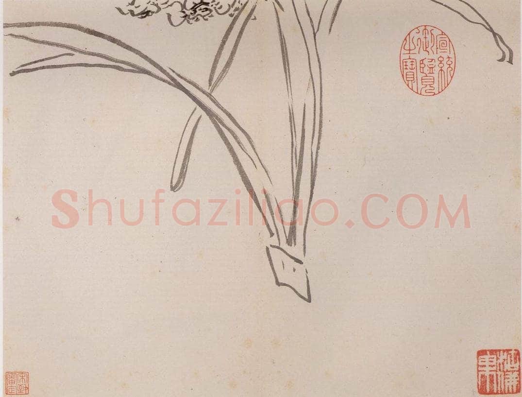 清 传綮 《写生》 书画作品