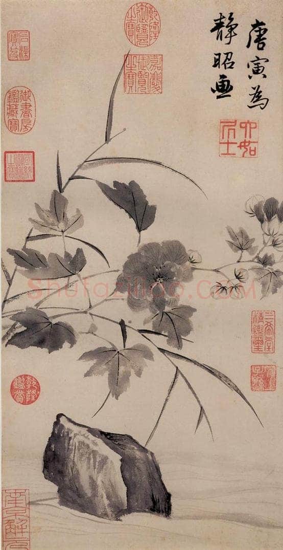 明 唐寅 《临水芙蓉图》 书画作品