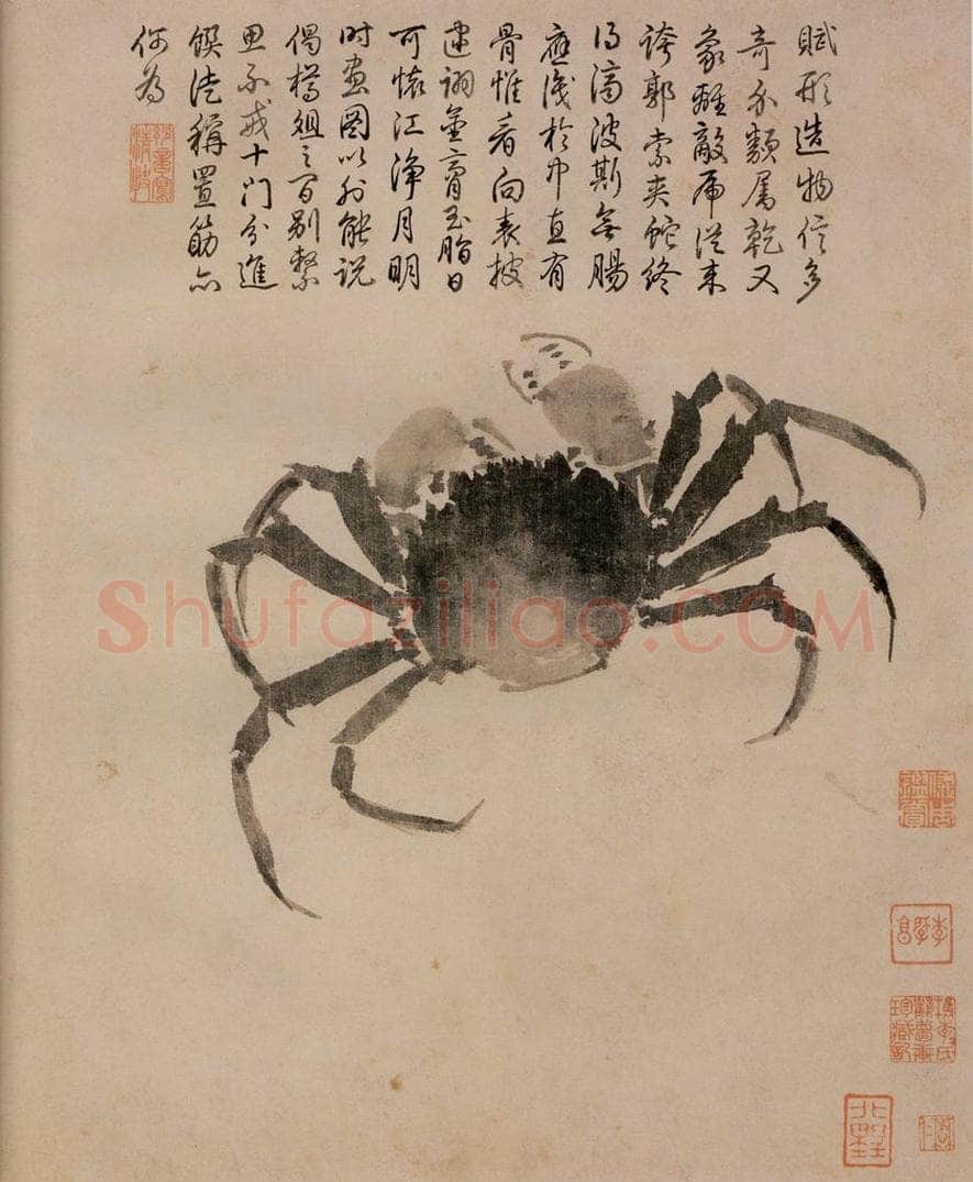 明 沈周 《写生》 书画作品