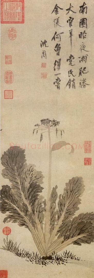 明 沈周 《蔬菜》 书画作品