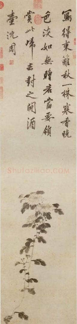明 沈周 《墨菊》 书画作品
