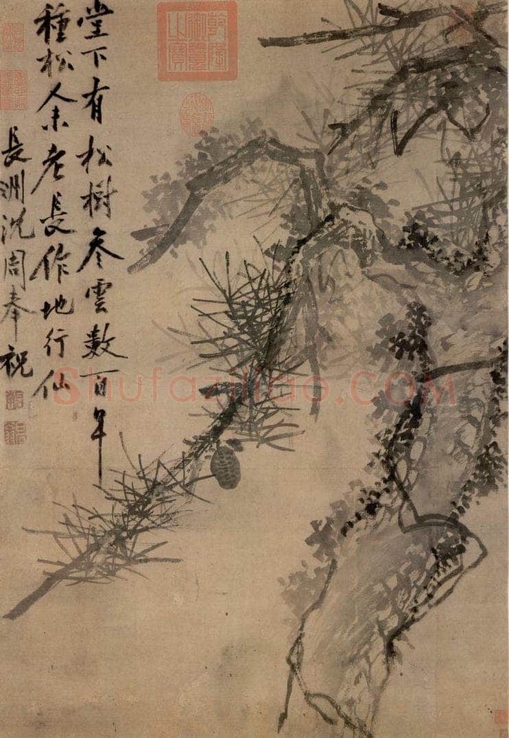 明 沈周 《古松图》 书画作品