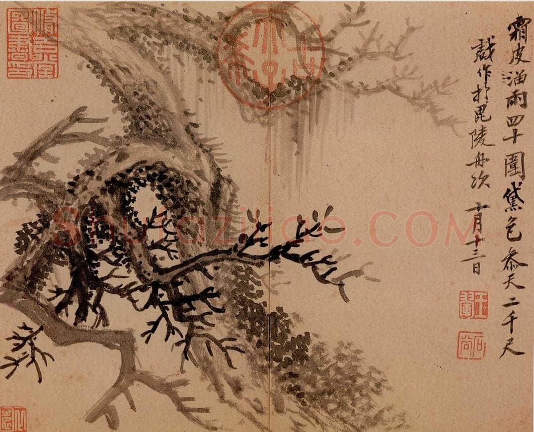 清 王翚 《古柏》 书画作品