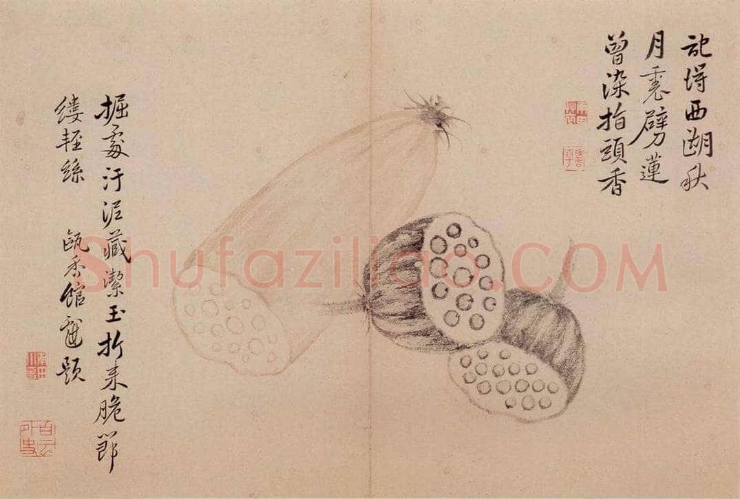 清朝 恽寿平 写生 书画作品