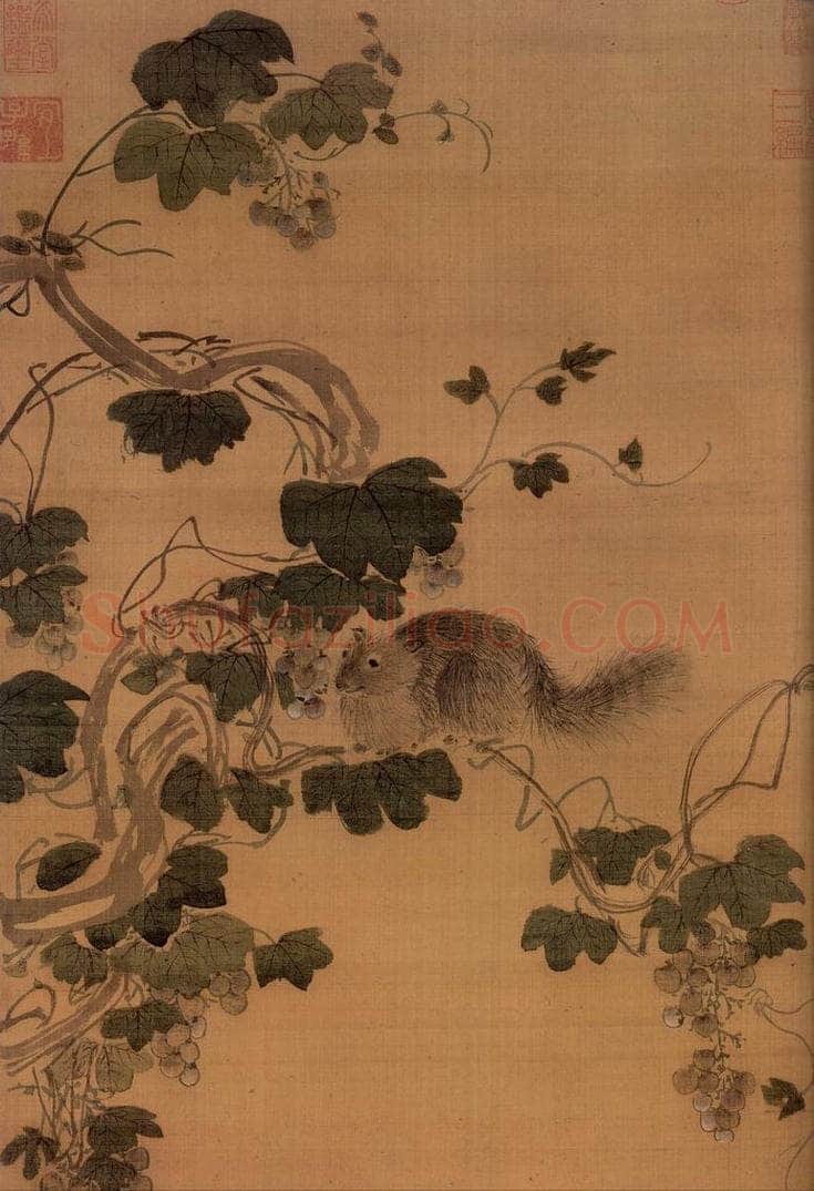 明 周之冕 《画葡萄松鼠》 书画作品