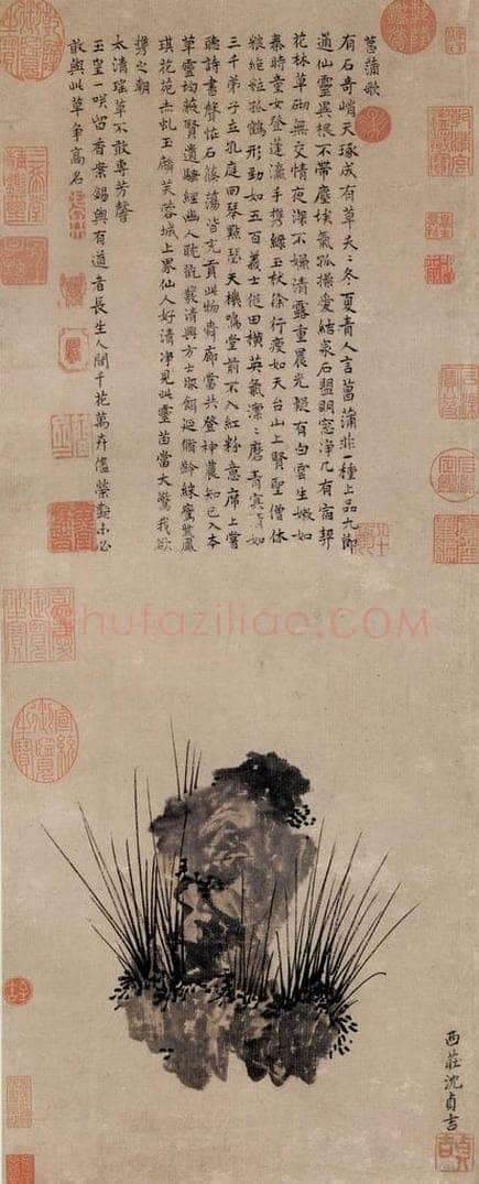 明 沈贞吉 《画菖蒲》 书画作品