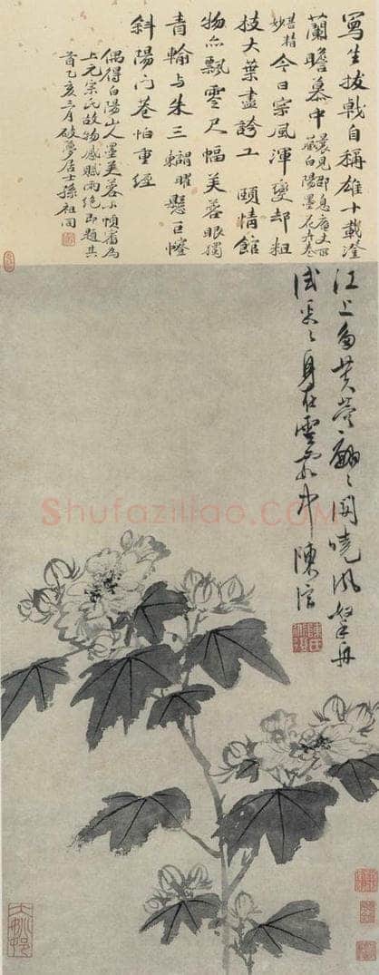 明 陈淳 《芙蓉图》 书画作品