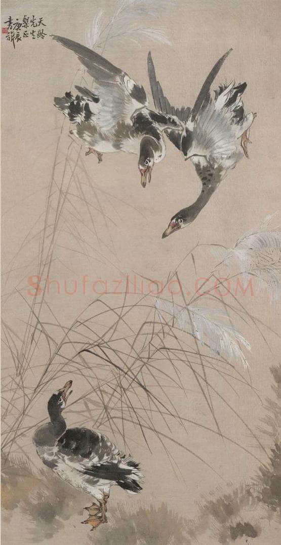  张书旗 《芦雁图》 书画作品